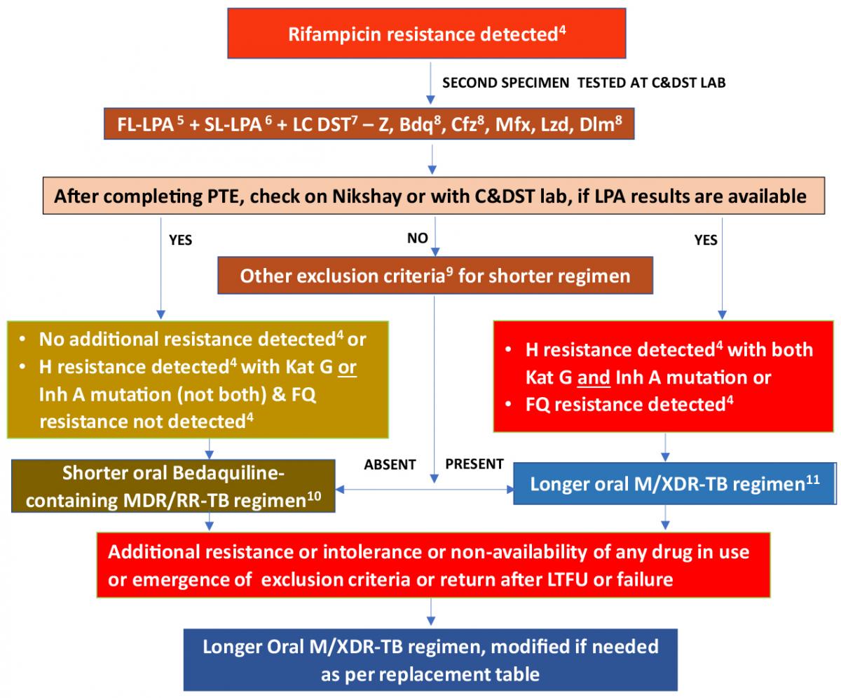 Treatment Algorithm For MDR RR TB Knowledge Base